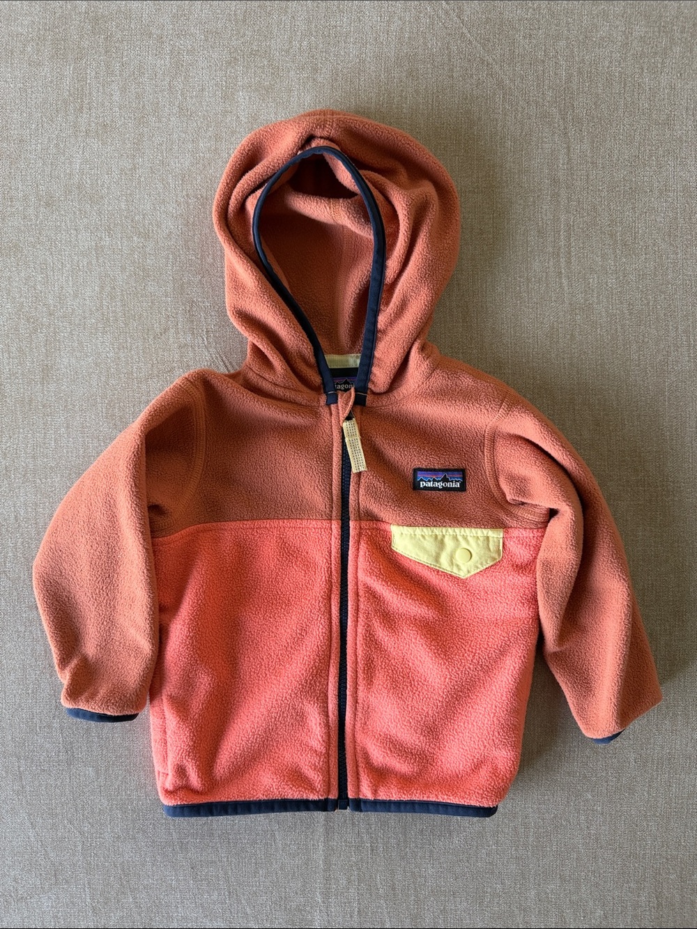 Patagonia Micro D Snap-T Jacket